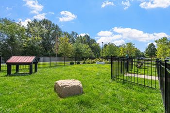 Dog park